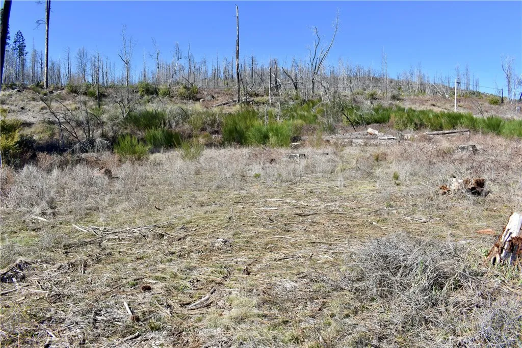 main property photo 53