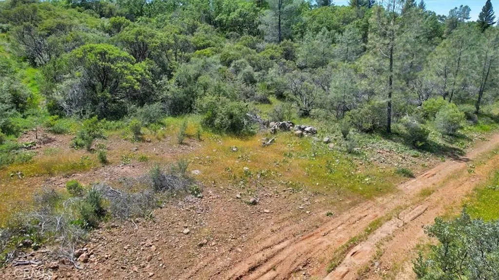 main property photo 21