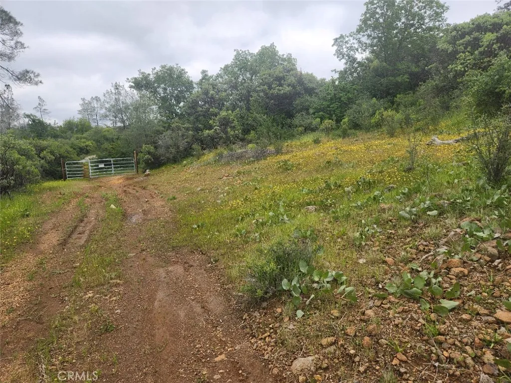main property photo 22