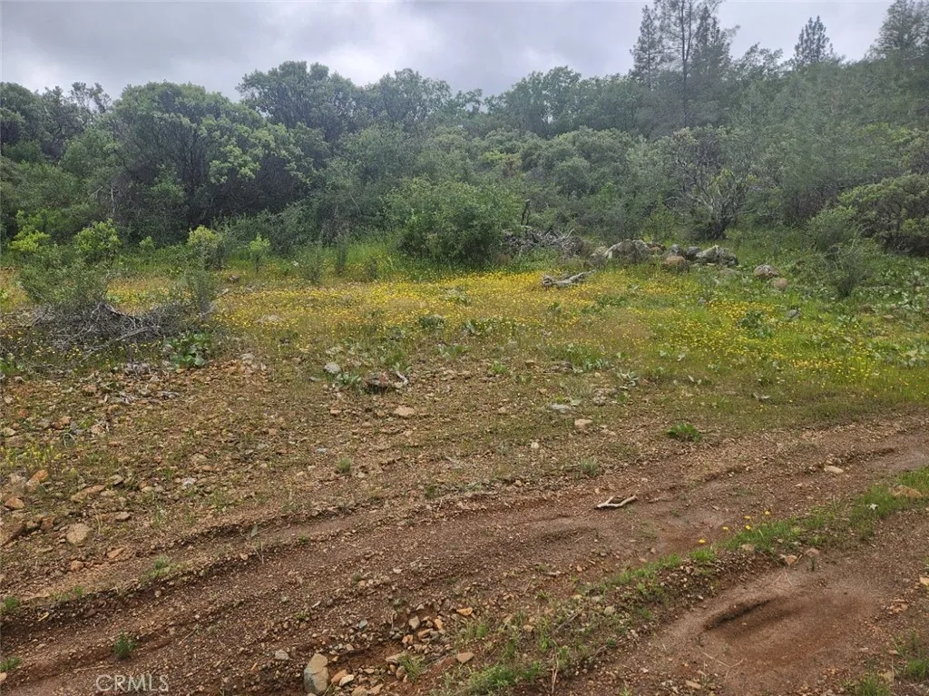 main property photo 25