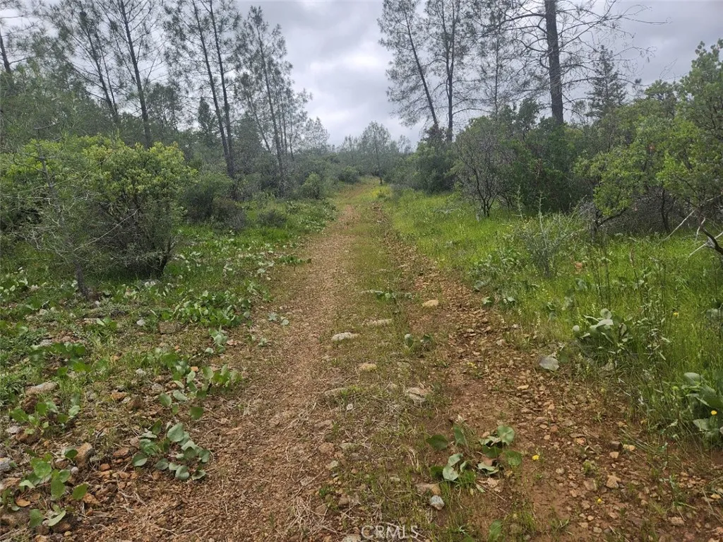main property photo 27