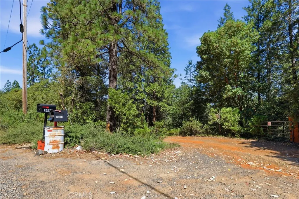 main property photo 47