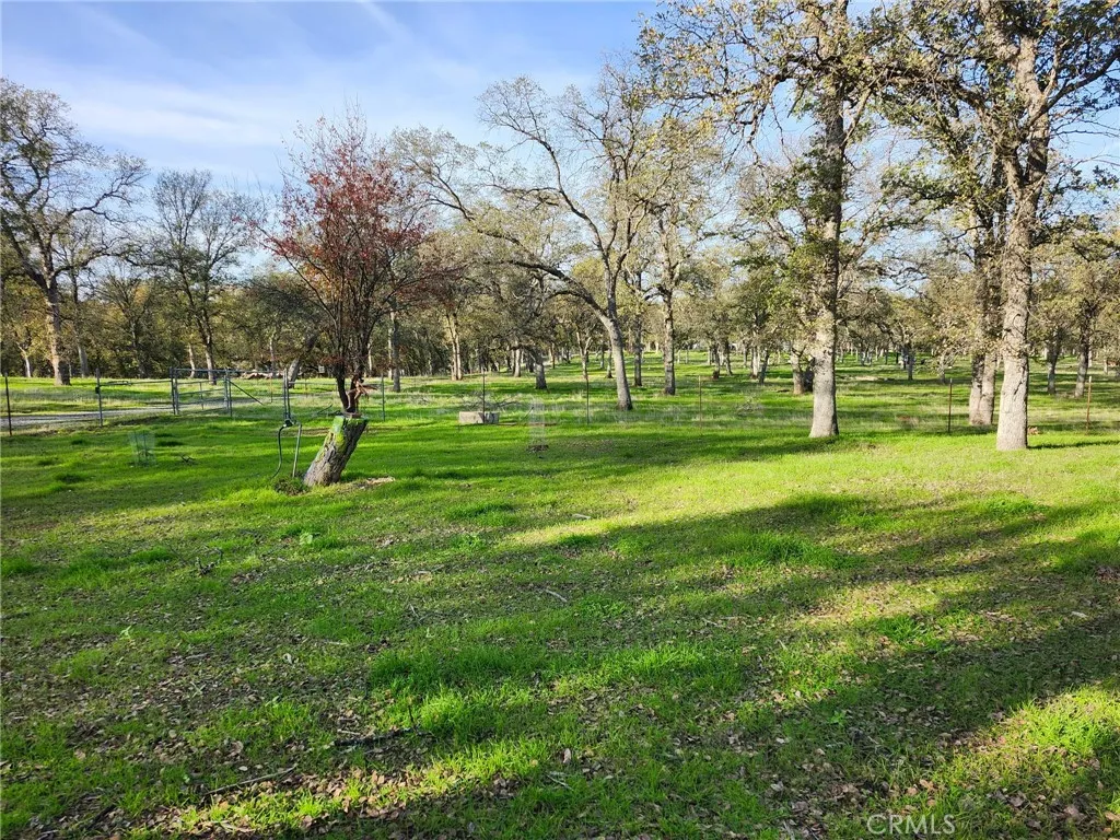 main property photo 55