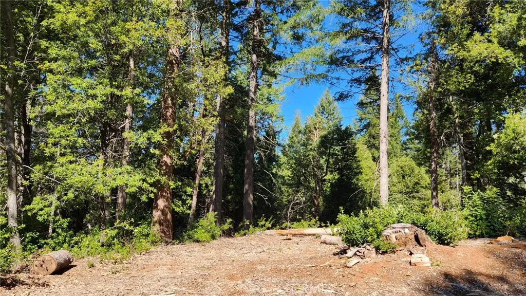 main property photo 0