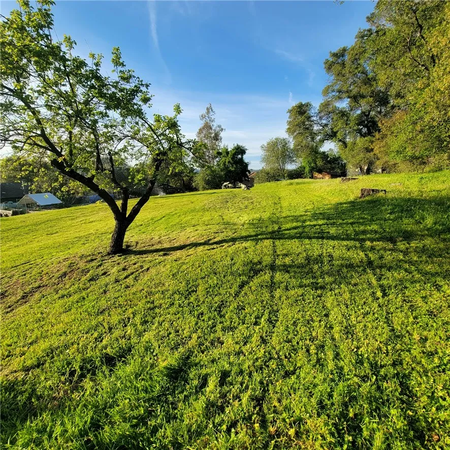 main property photo 45