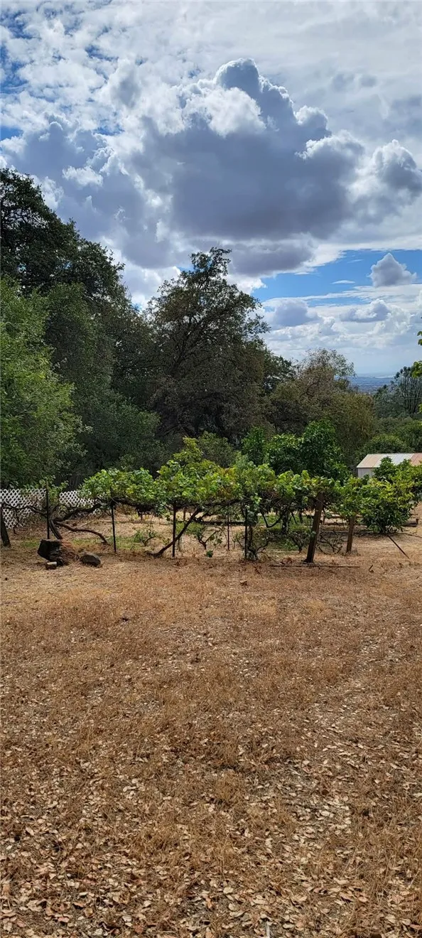 main property photo 50