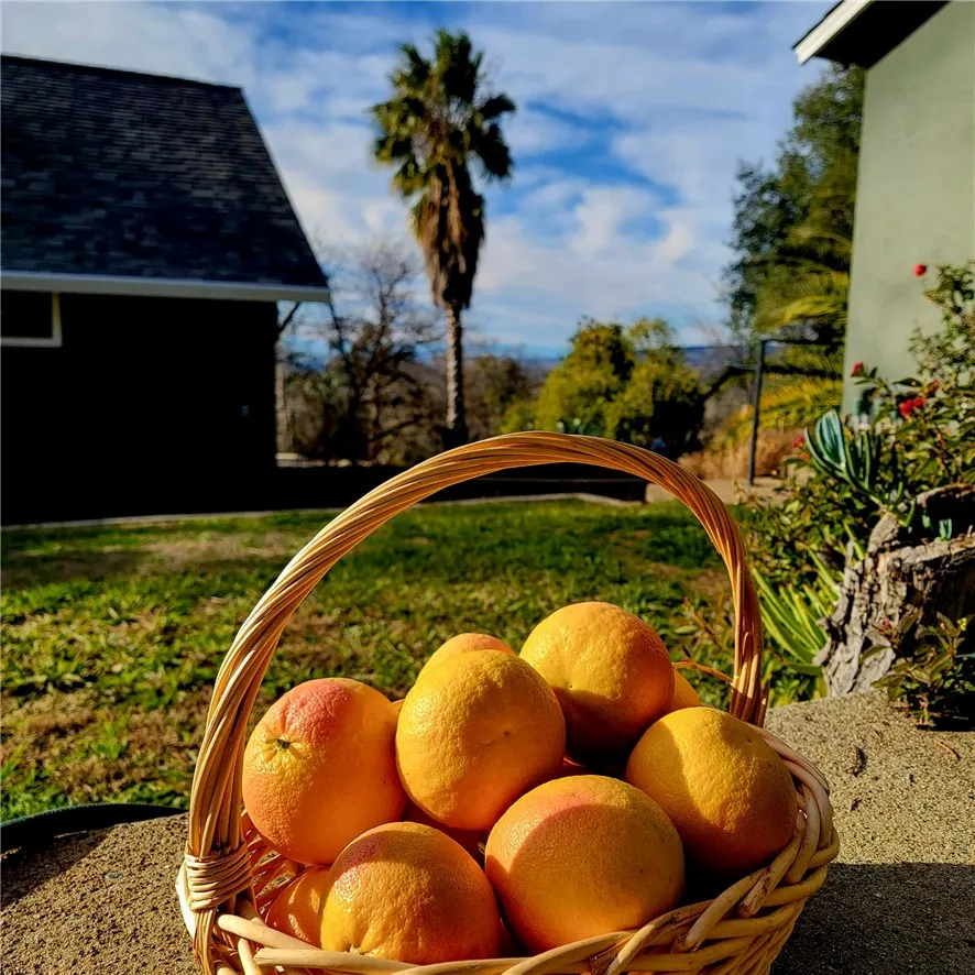 main property photo 53