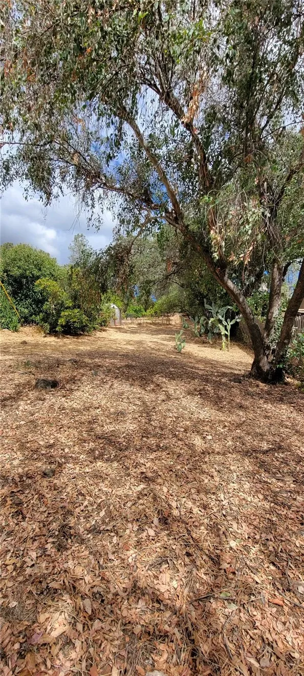 main property photo 59