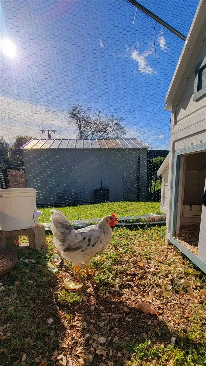 main property photo 62