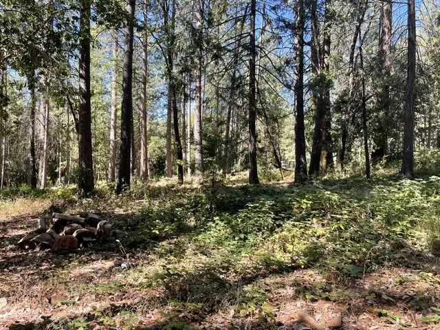 main property photo 11
