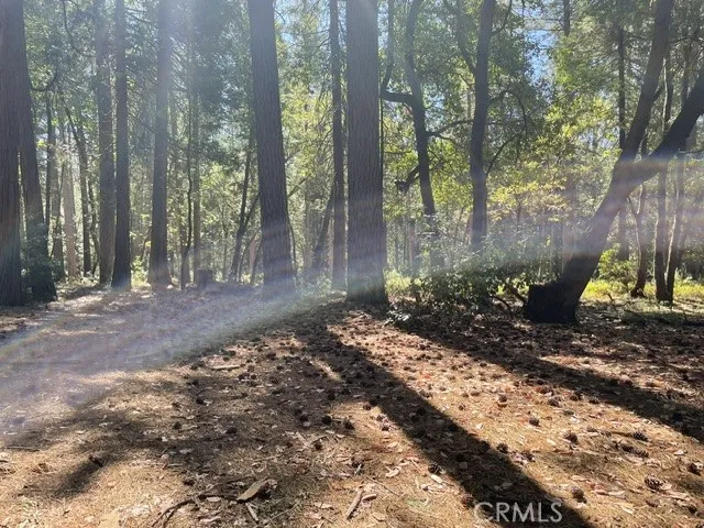 main property photo 12