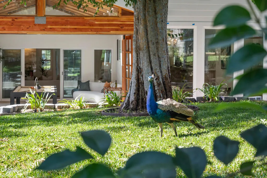 main property photo 58