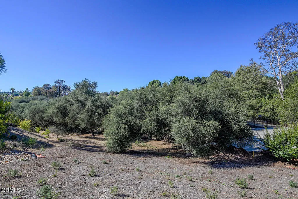 main property photo 52