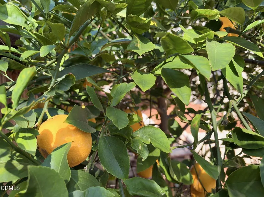 main property photo 71