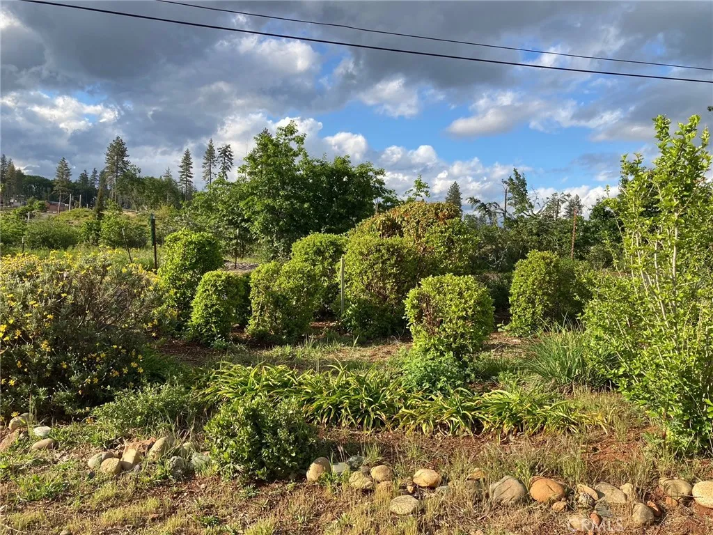 main property photo 56