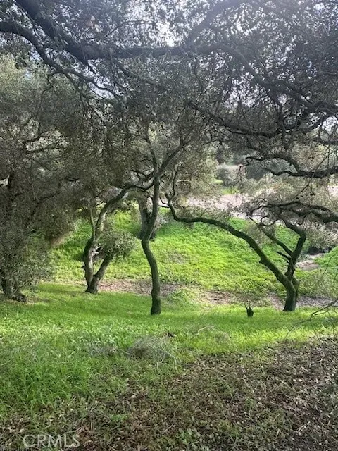 main property photo 60