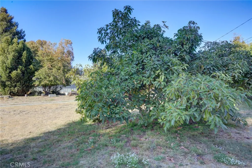 main property photo 68
