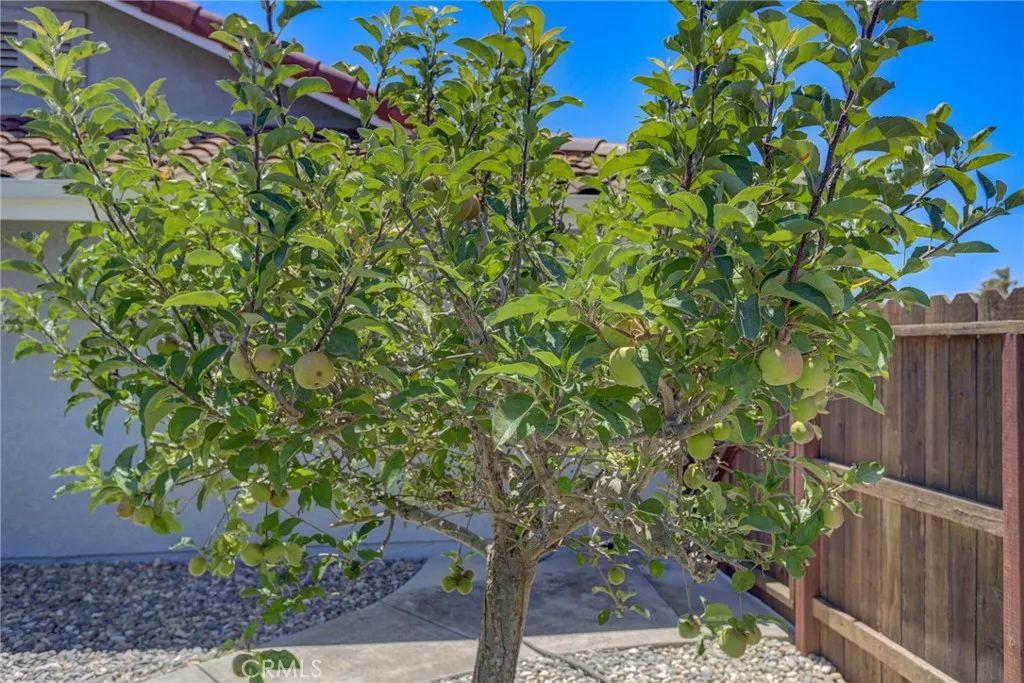 main property photo 54