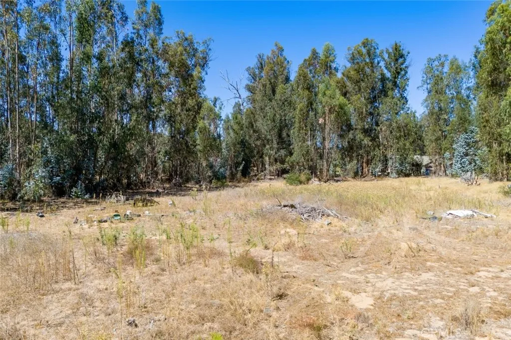 main property photo 37