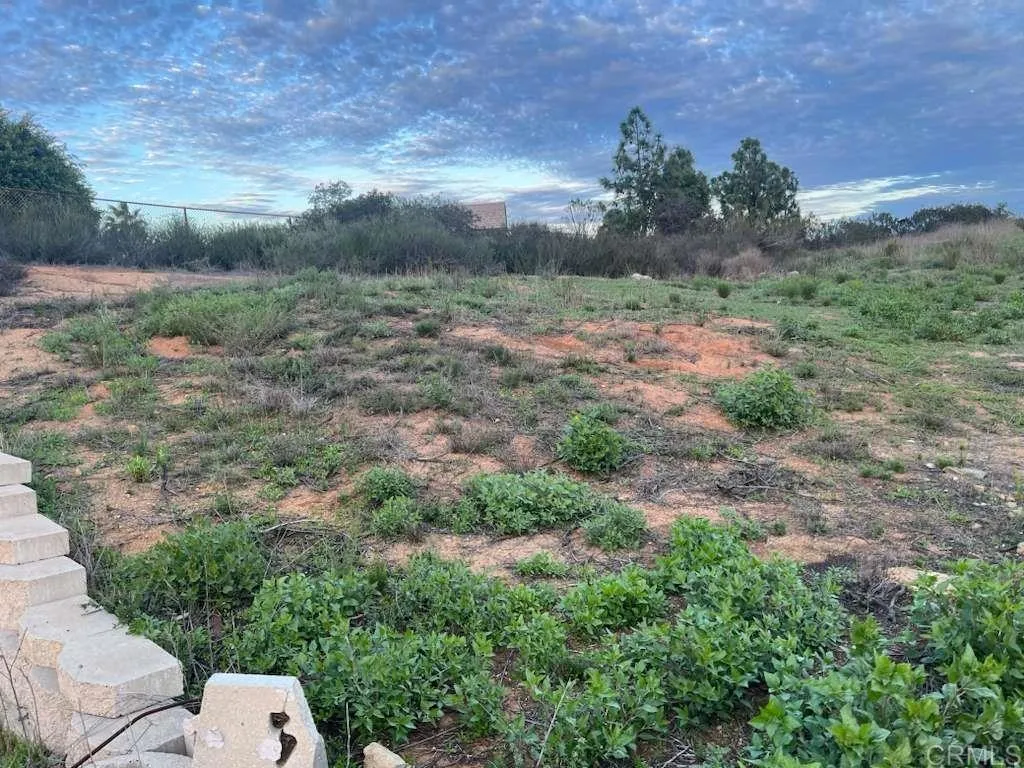 main property photo 14