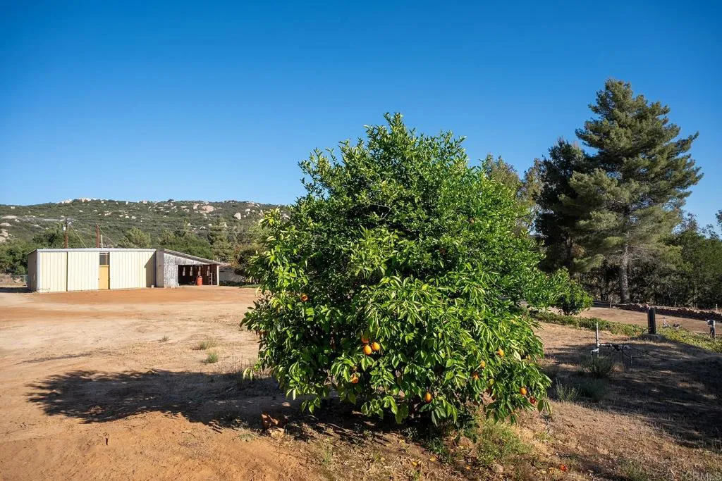 main property photo 50