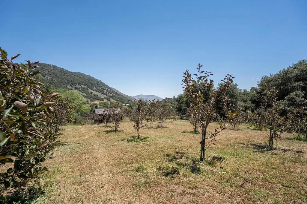 main property photo 57