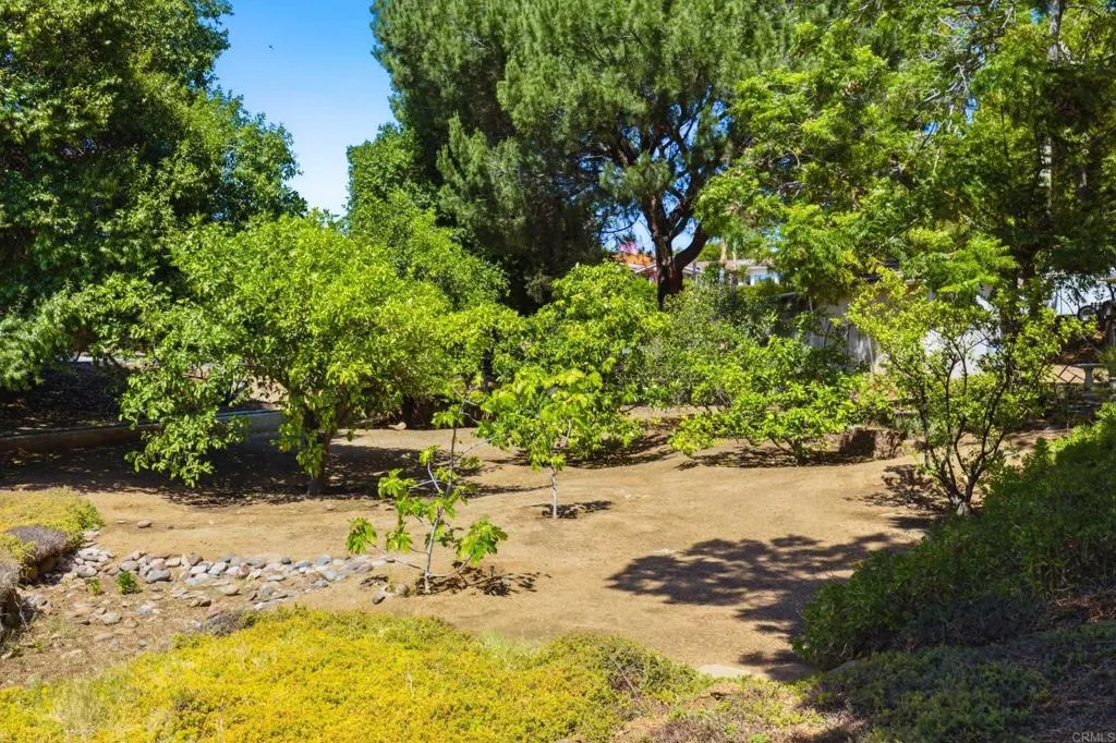main property photo 56