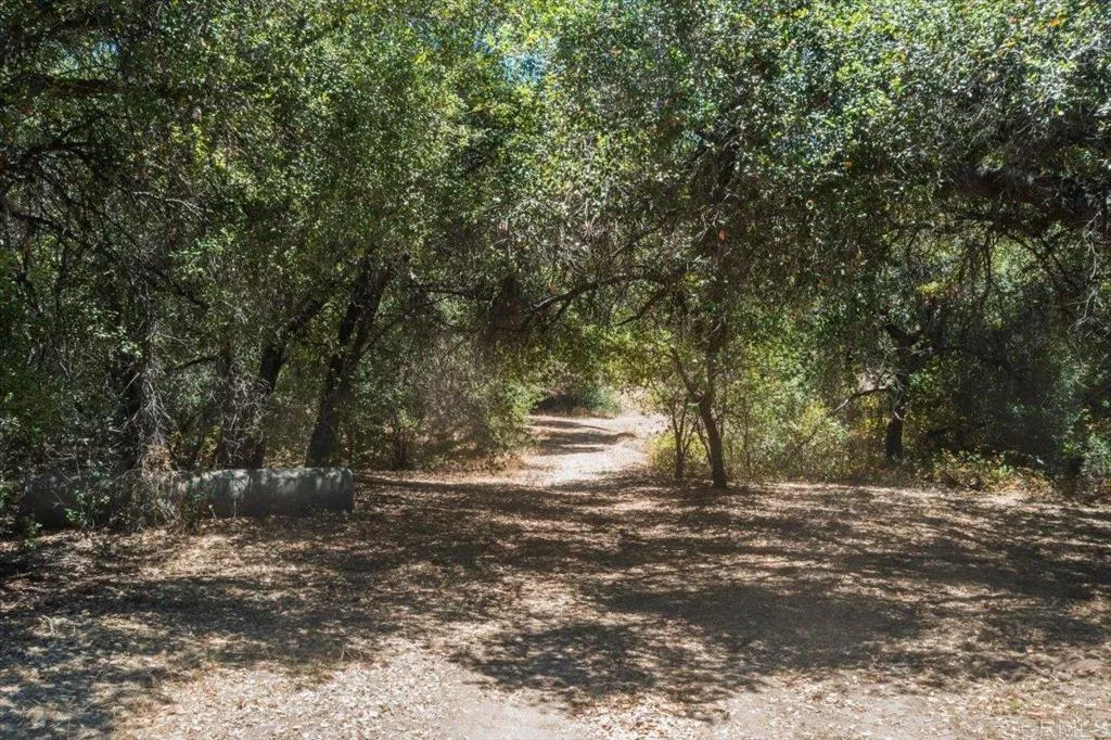 main property photo 67