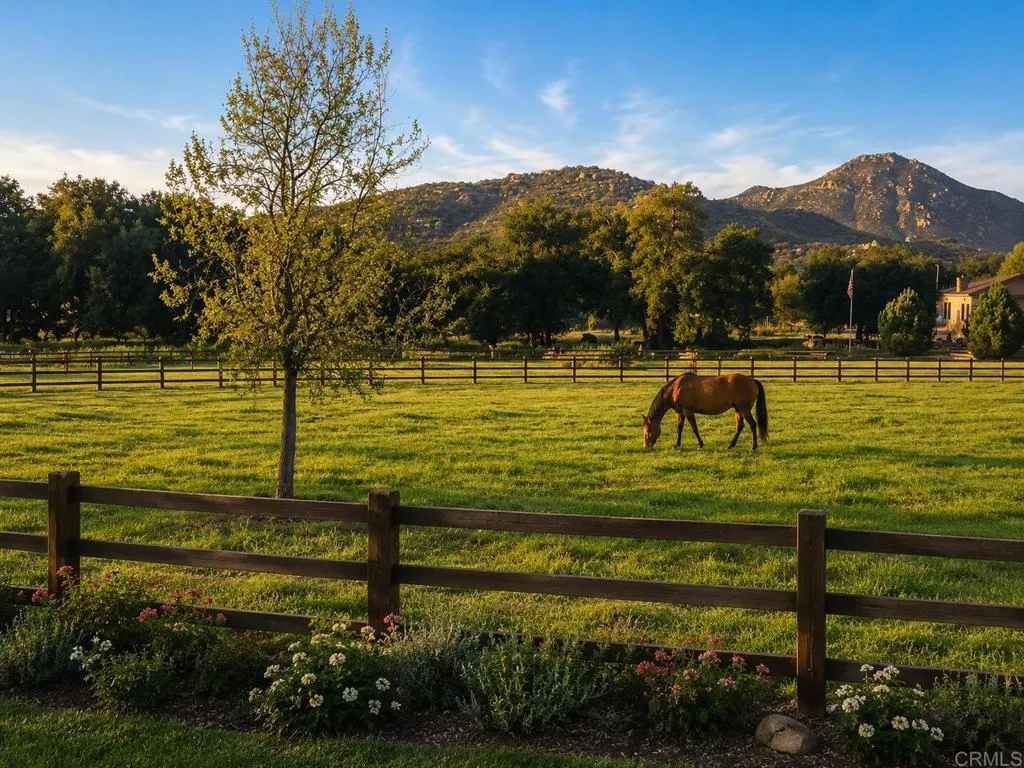 main property photo 74