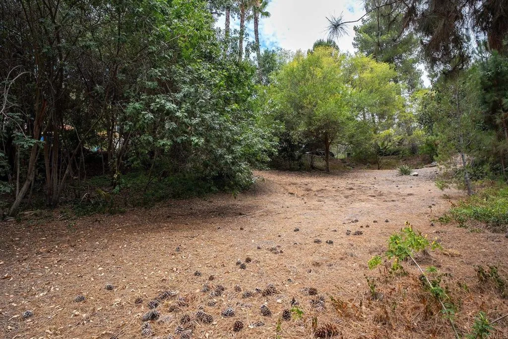 main property photo 49