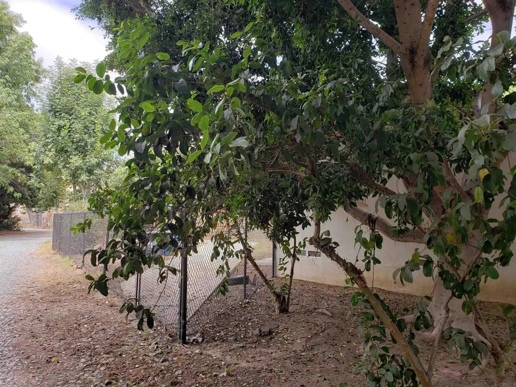 main property photo 9