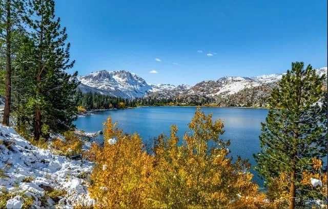 main property photo 63
