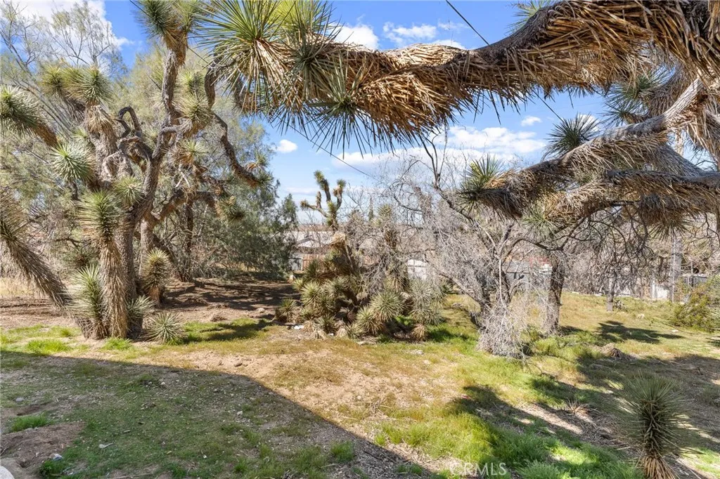 main property photo 11