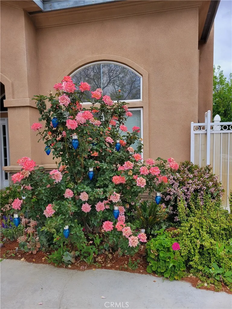 main property photo 55