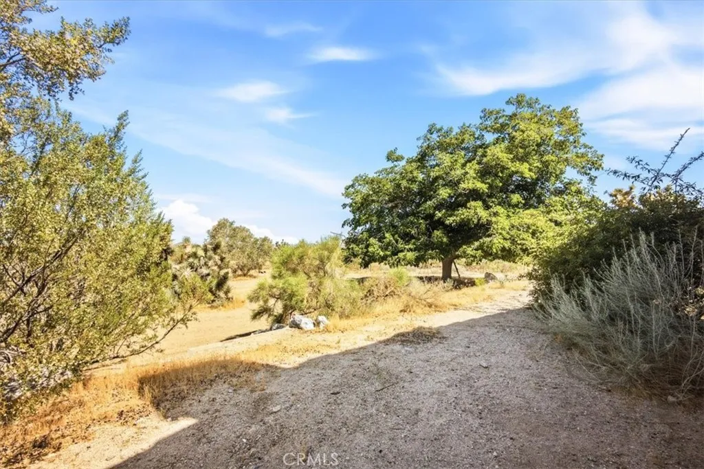 main property photo 37