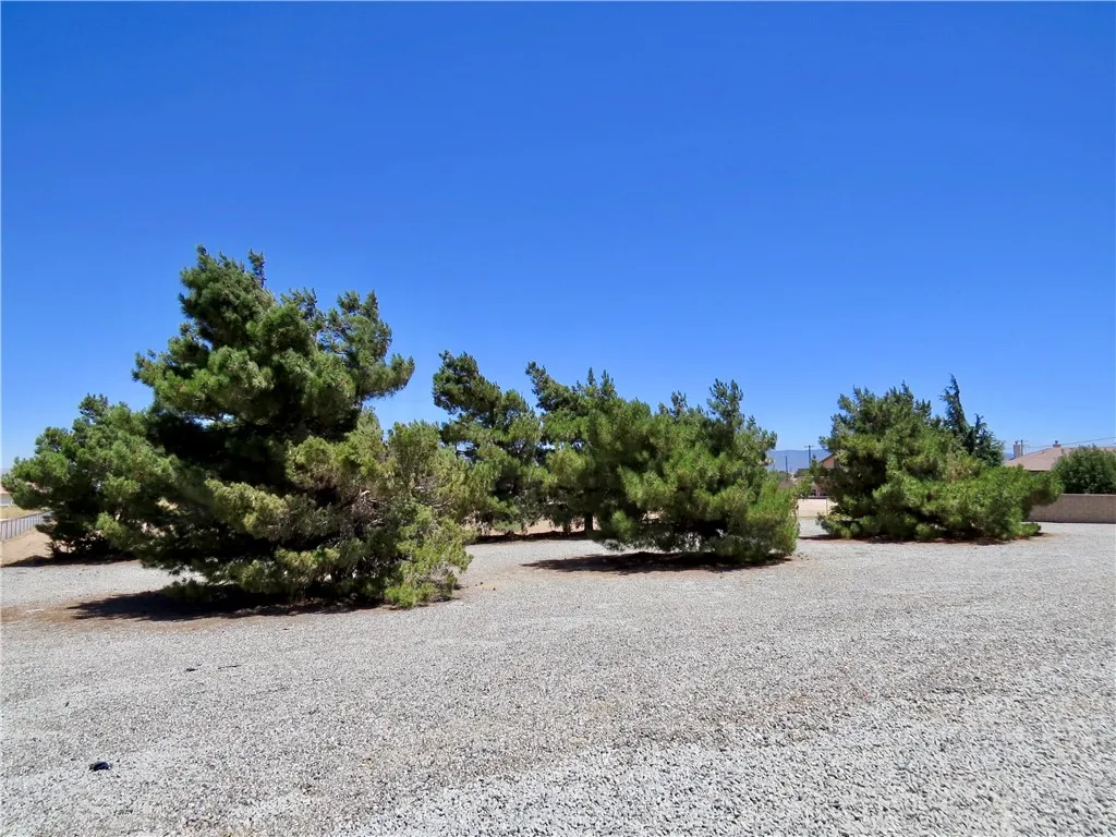 main property photo 61