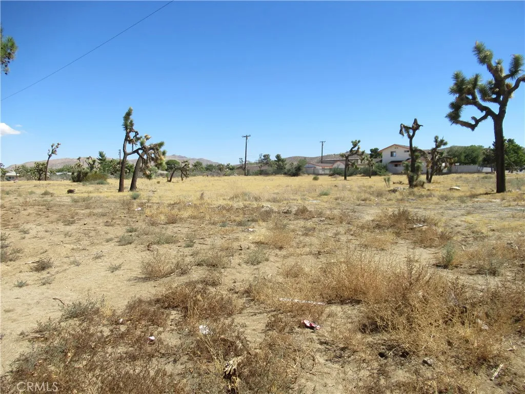 main property photo 5