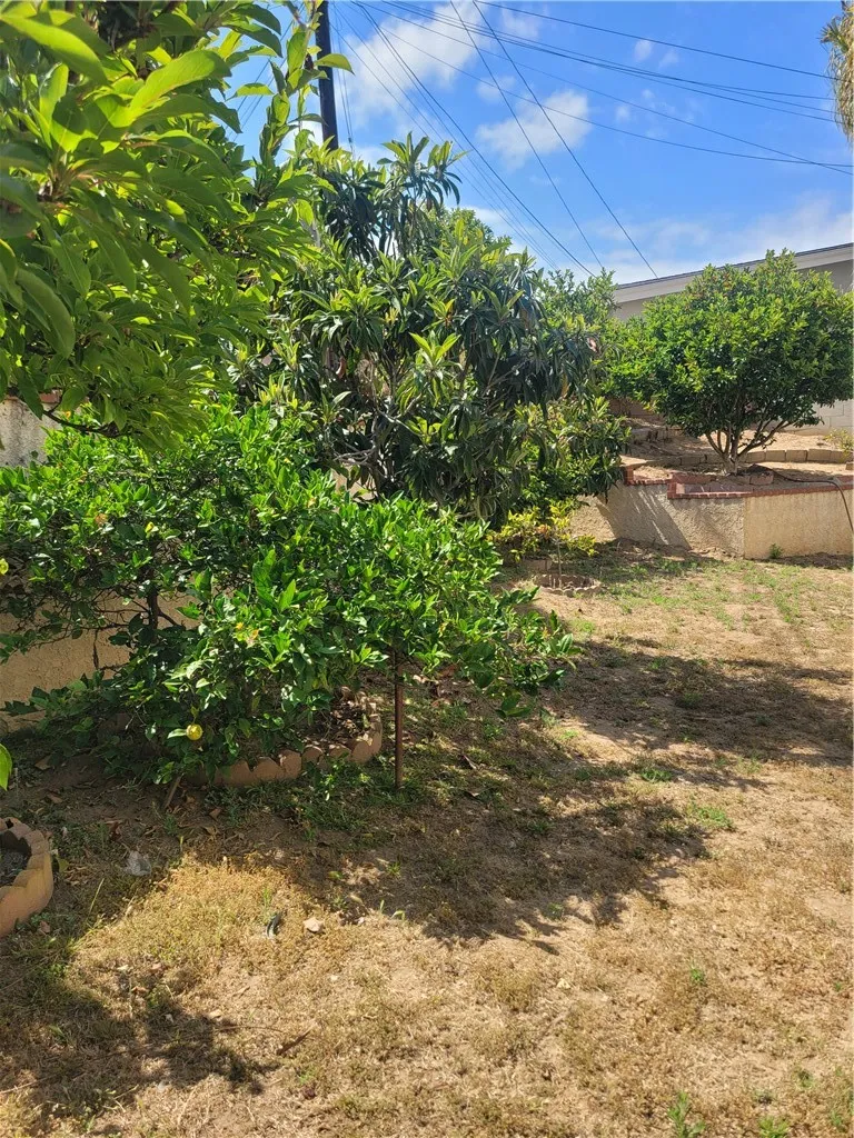 main property photo 54