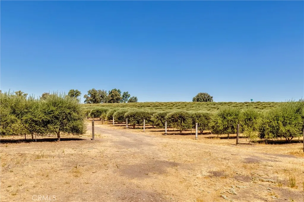 main property photo 24