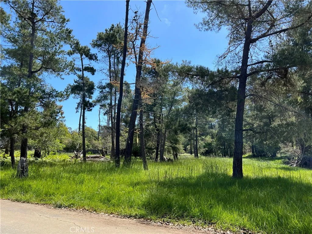 main property photo 8