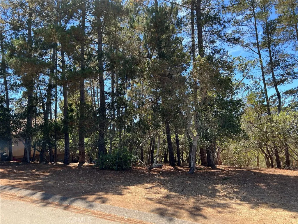 main property photo 7