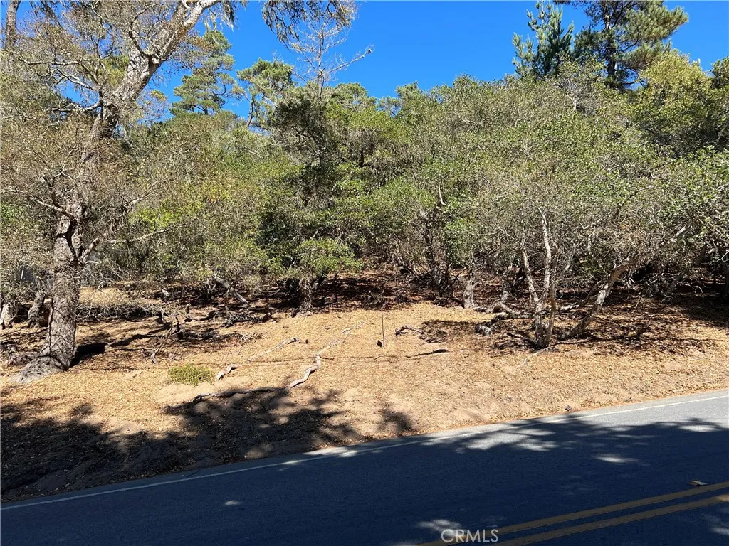 main property photo 11