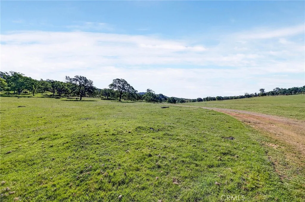 main property photo 64