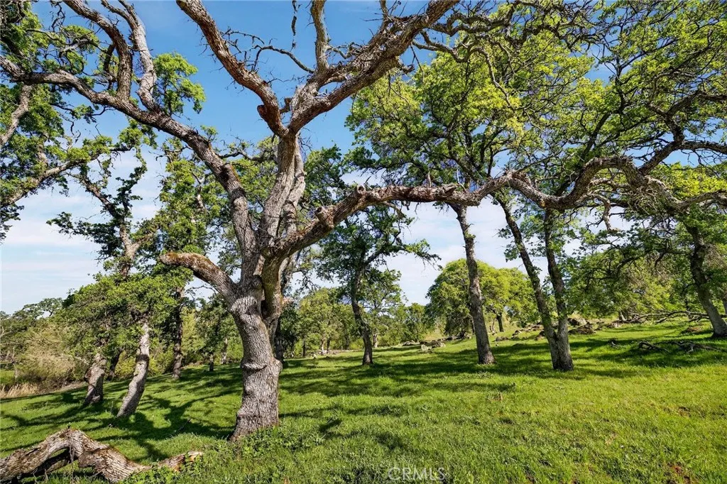 main property photo 66