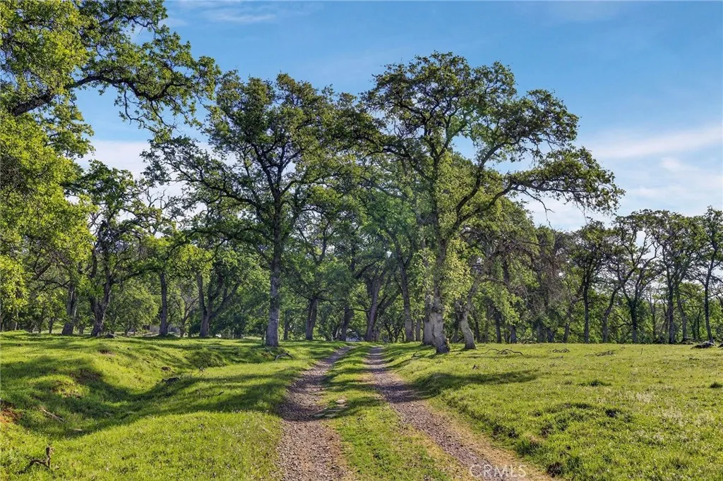 main property photo 67
