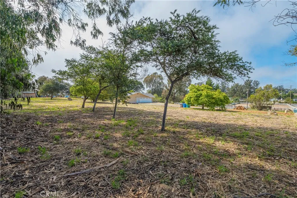 main property photo 33