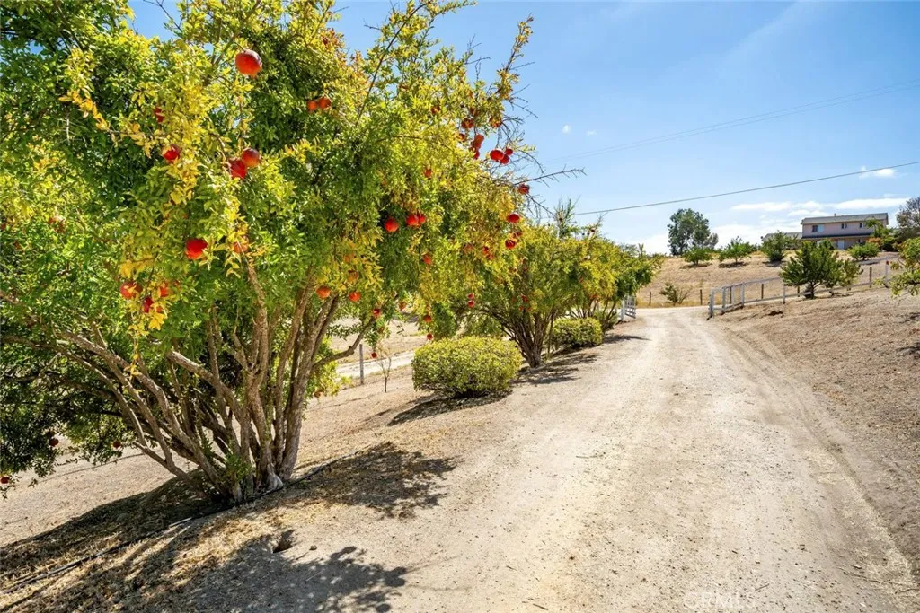 main property photo 48