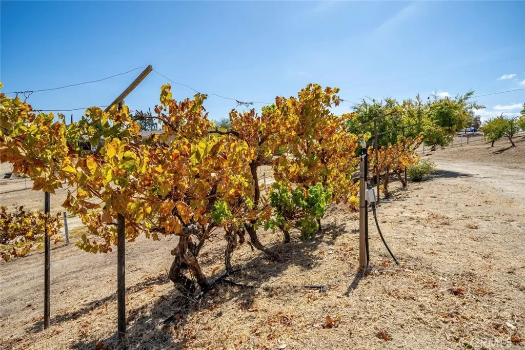 main property photo 49