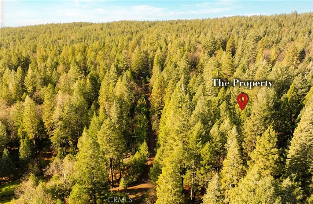 main property photo 5