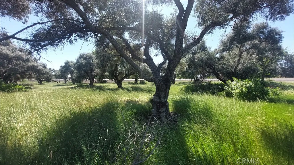 main property photo 26
